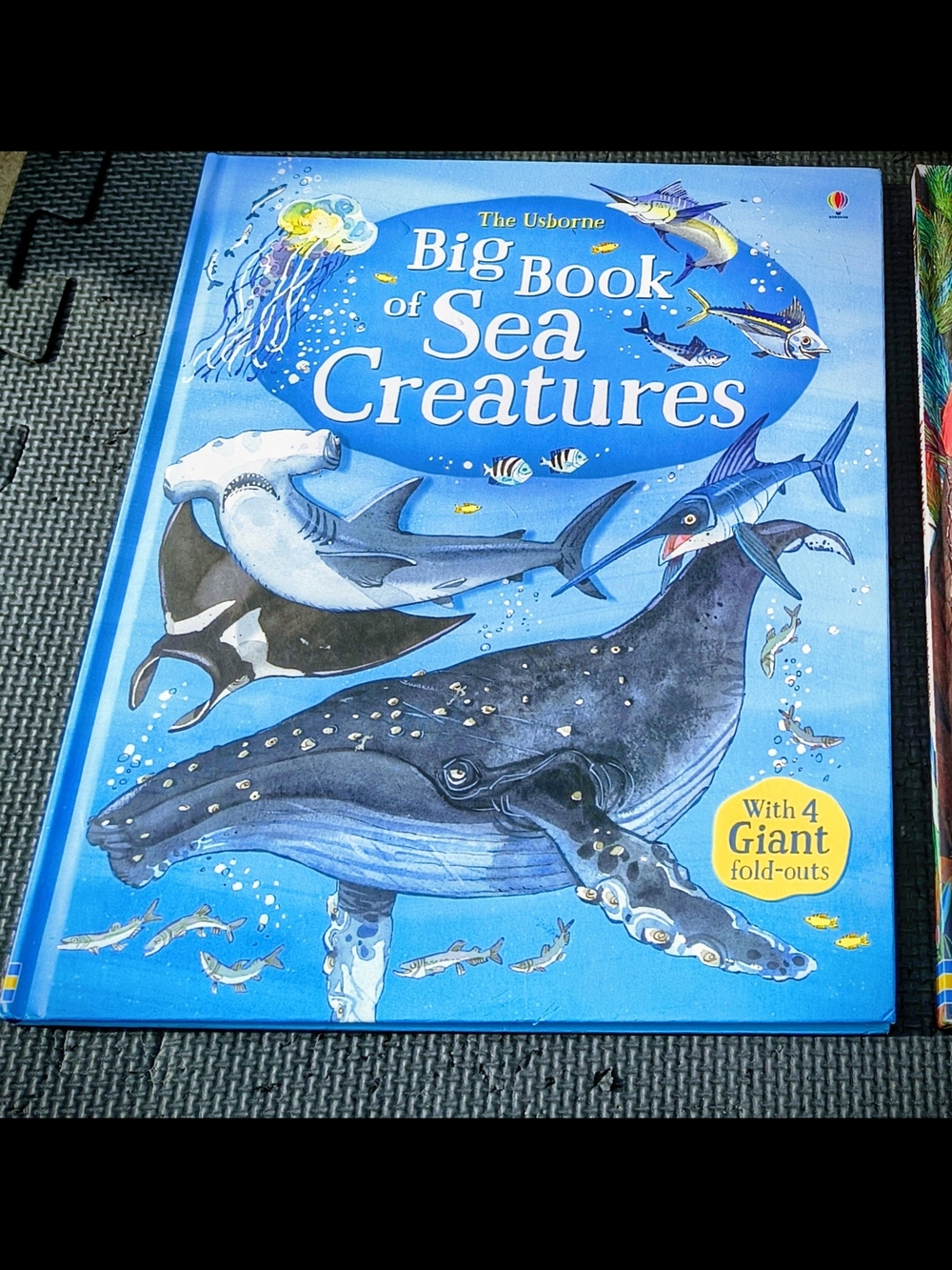 Usborne Big Book of Sea Creatures - Blue Illustrated Hardcover